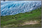 Exit Glacier, Seward