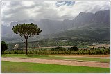 Wine Country, Near Cape Town, South Africa