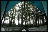 A view from within. Casey's Campground. Moose Lake, Maine. (2011)