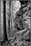 Reeds Canyon, Shawnee National Forest, Southern Illinois (early 1980s).