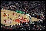 Chicago Bulls 2008