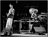Zappa 1978 2