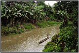 Amazonian Ecuador 1986