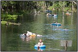 One way to beat the heat! Tubing on the Ichetucknee River, Florida.